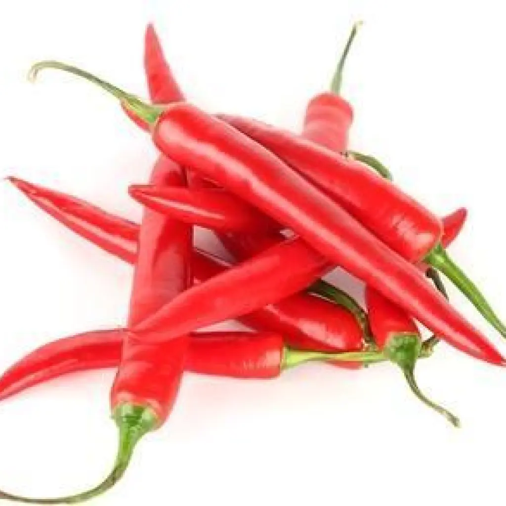 Red chilli fresh