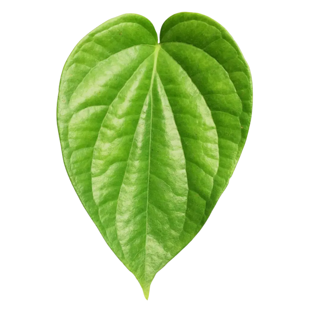 Green paan leave each