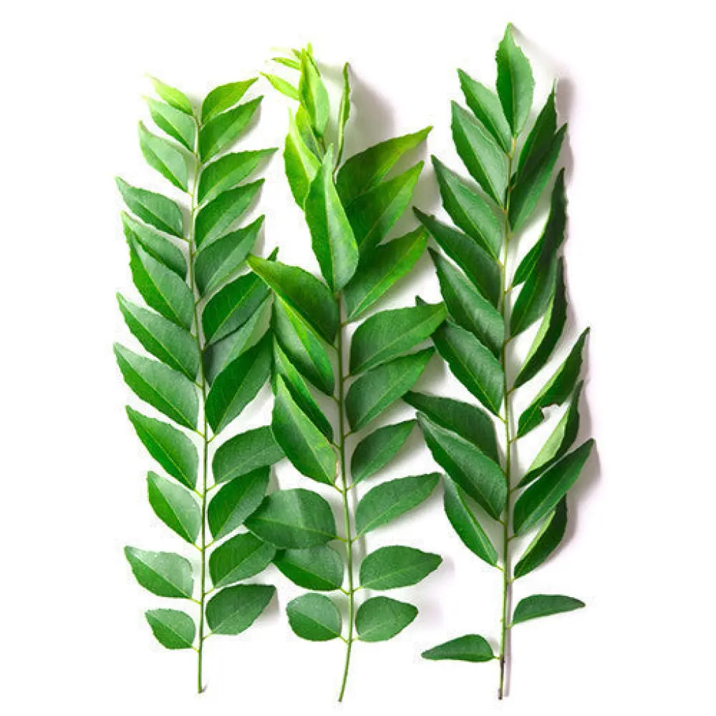 Curry leaves