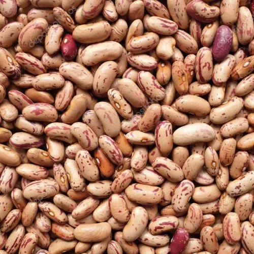 Cranberry Beans 1 kg