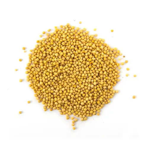 Yellow Mustard 200 gm
