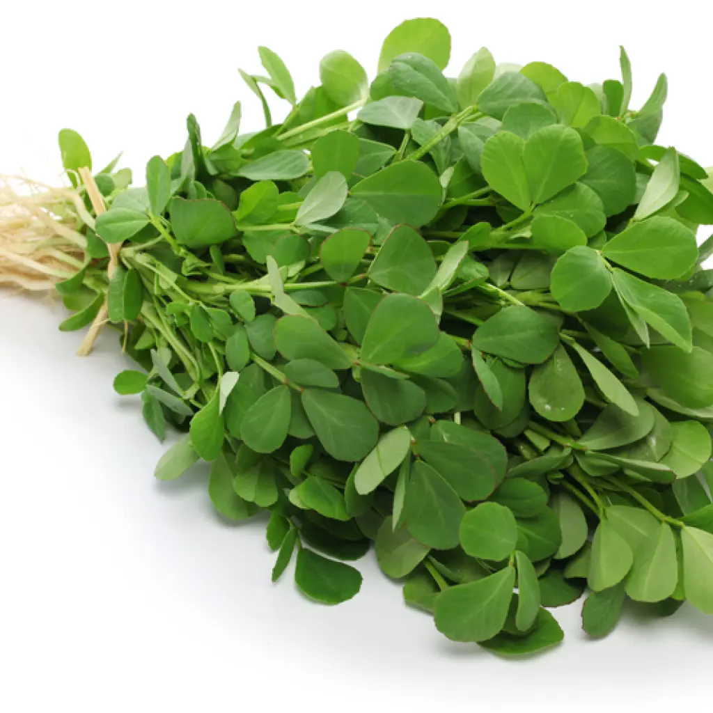 Fenugreek leaves each bunch