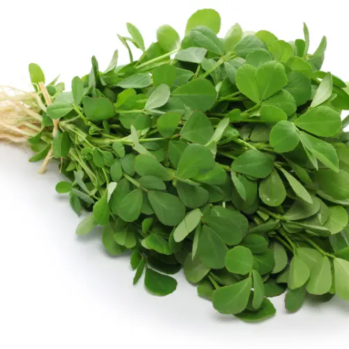 Fenugreek leaves each bunch