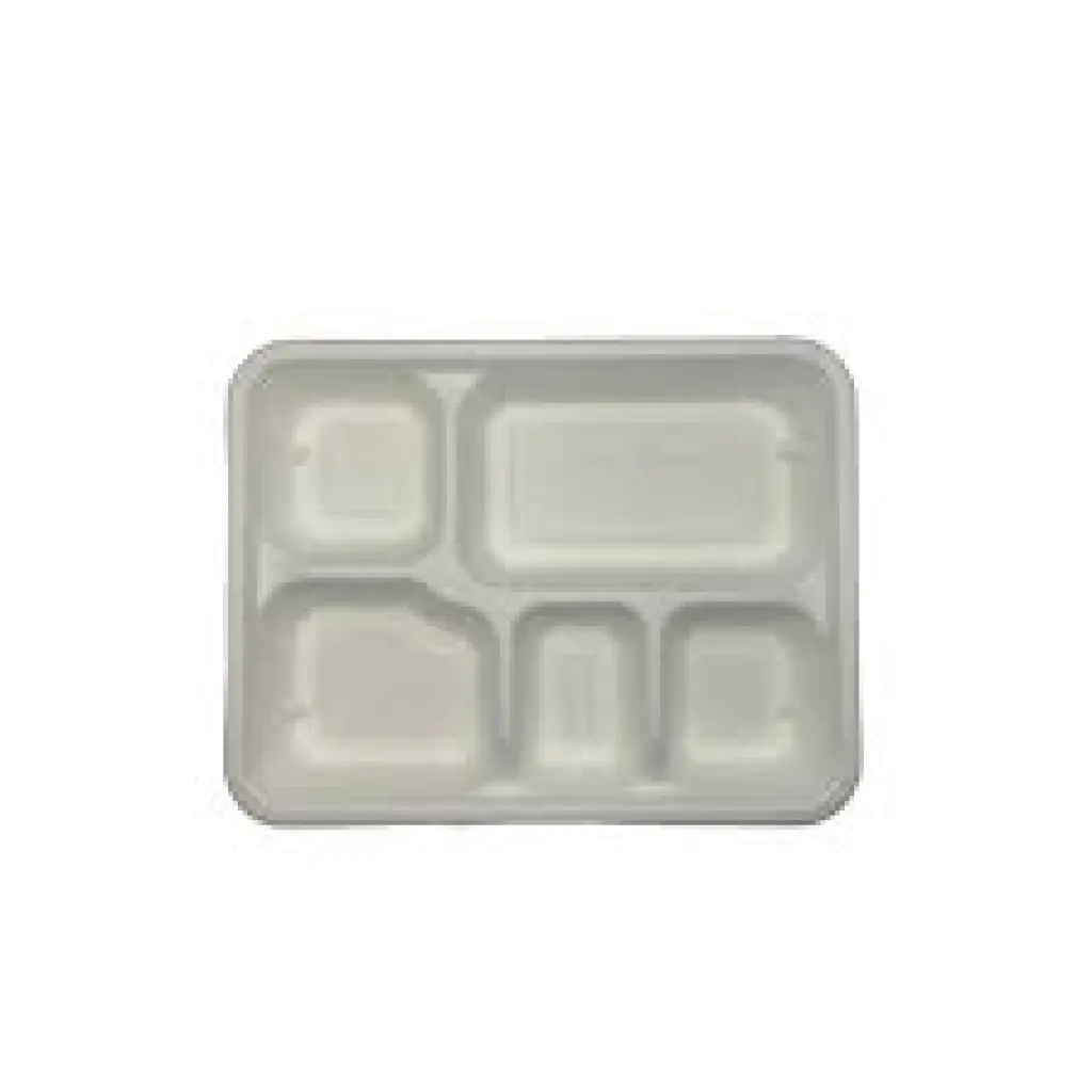 Biodegradable  Meal tray broad 25 pcs