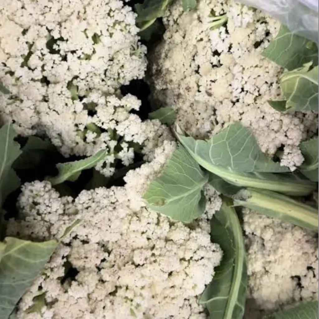 Cauliflower Fioretta loose vegi