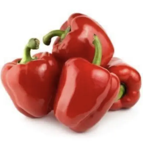 Red capsicum