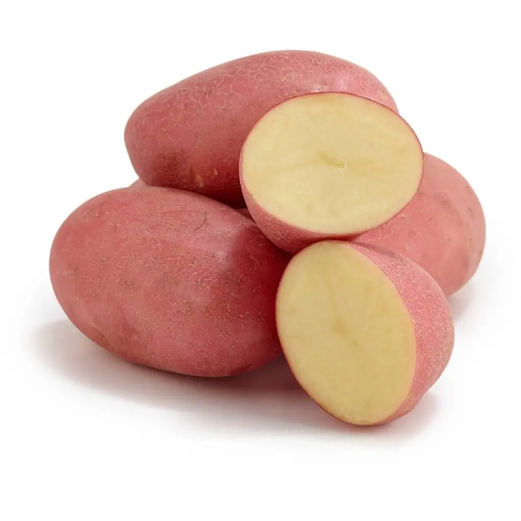 Potato red 5 kg vegi