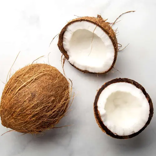 Coconut Fresh