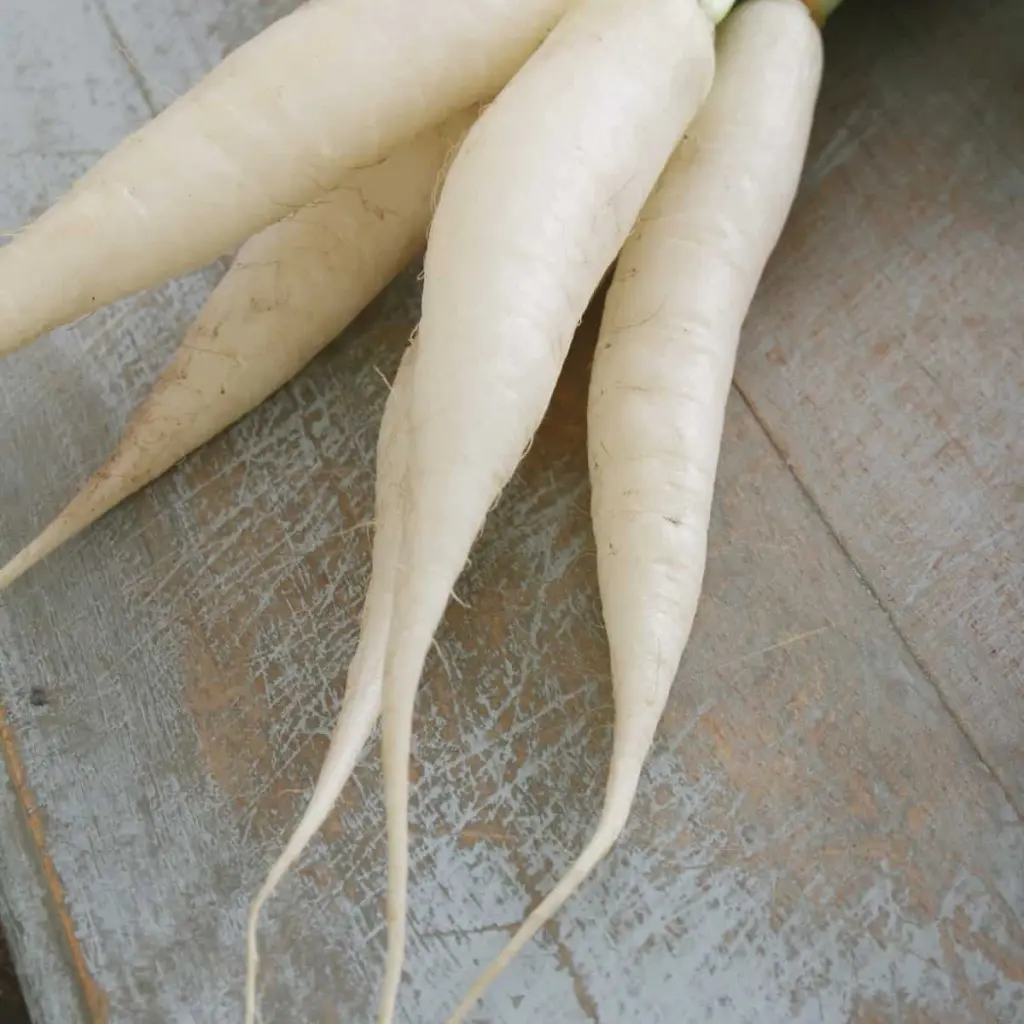 White Radish big Each vegi