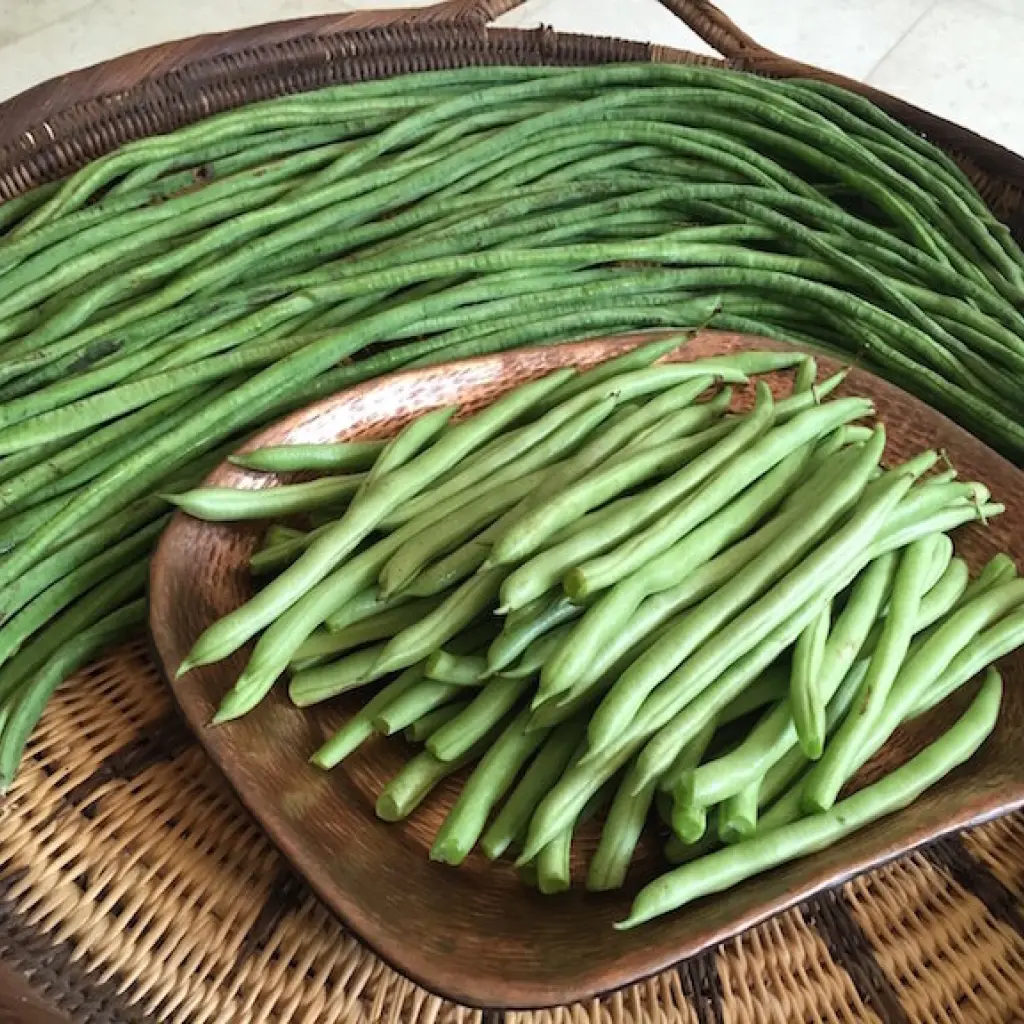 Snake Bean  vegi