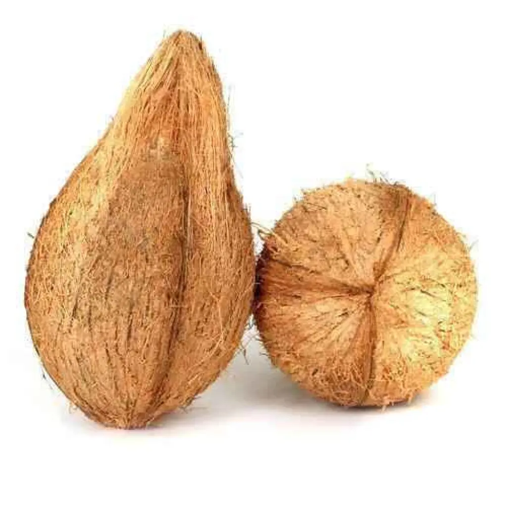 Coconut whole for pooja Each
