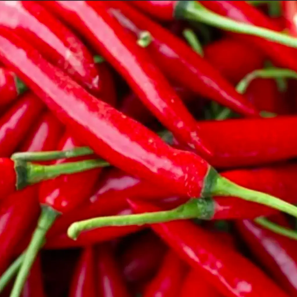 Bhutanese Chilli Red whole
