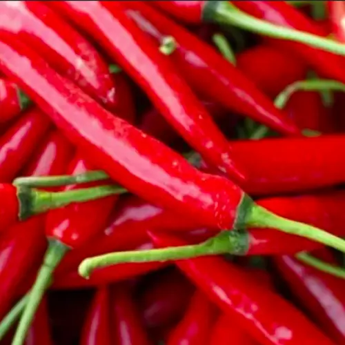 Bhutanese Chilli Red whole