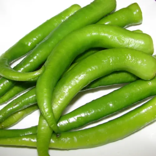 Long green chilly