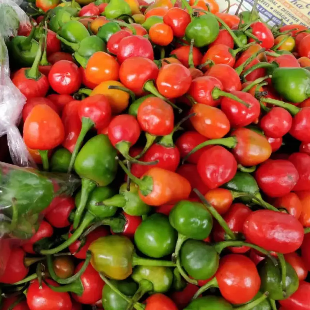 Dalle khursani 200 gm