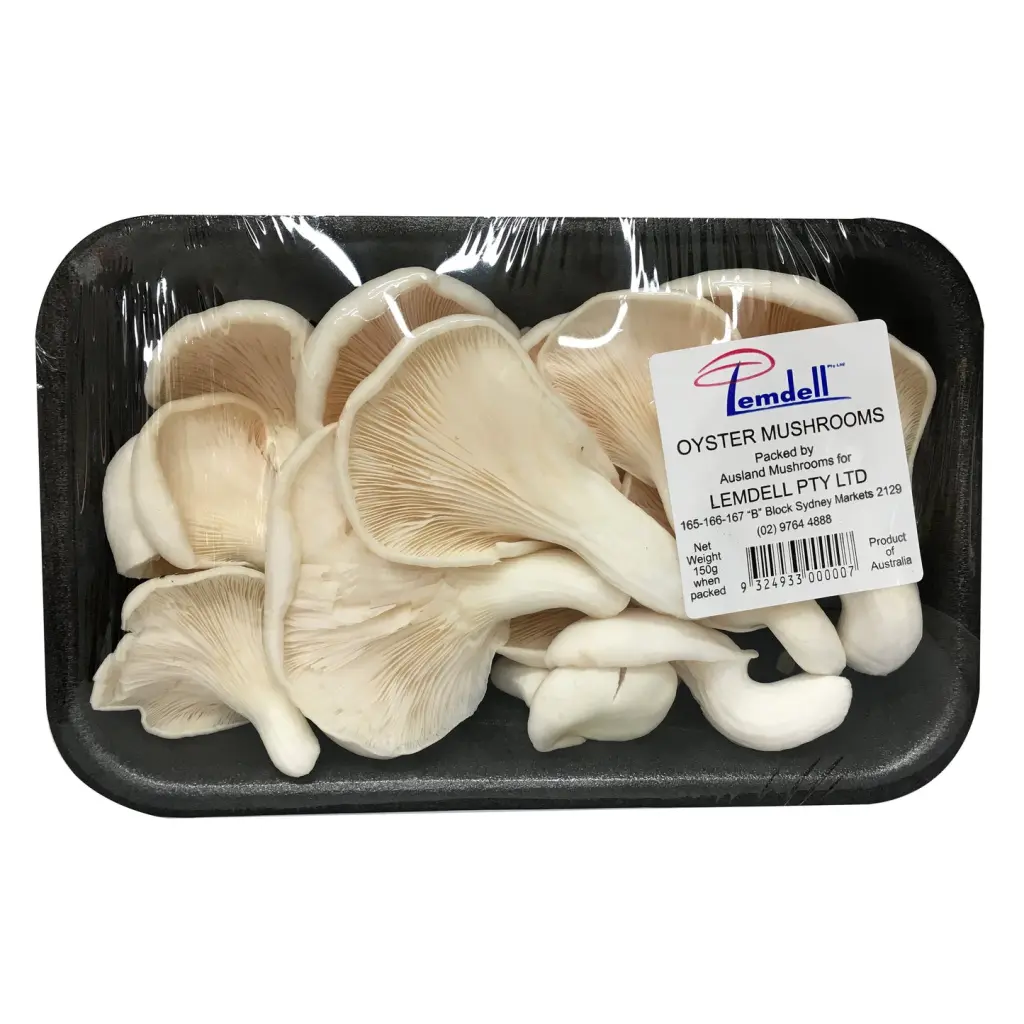 Oyster mushroom big pkt