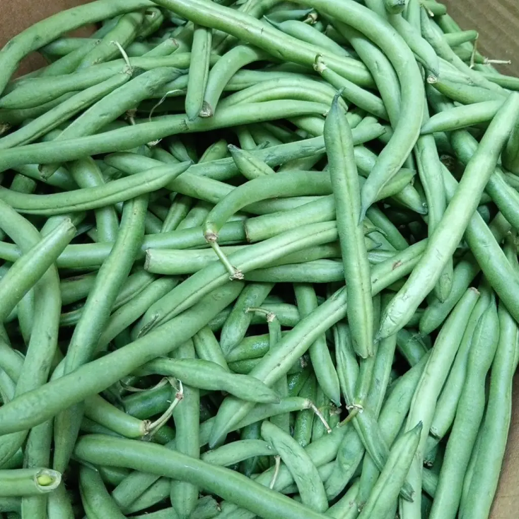 Green Bean