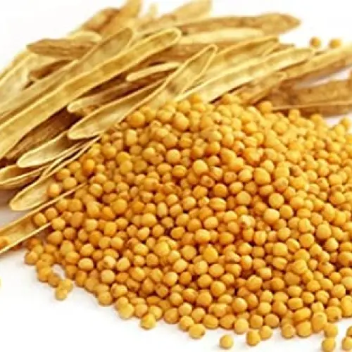 Yellow mustard seed 200g