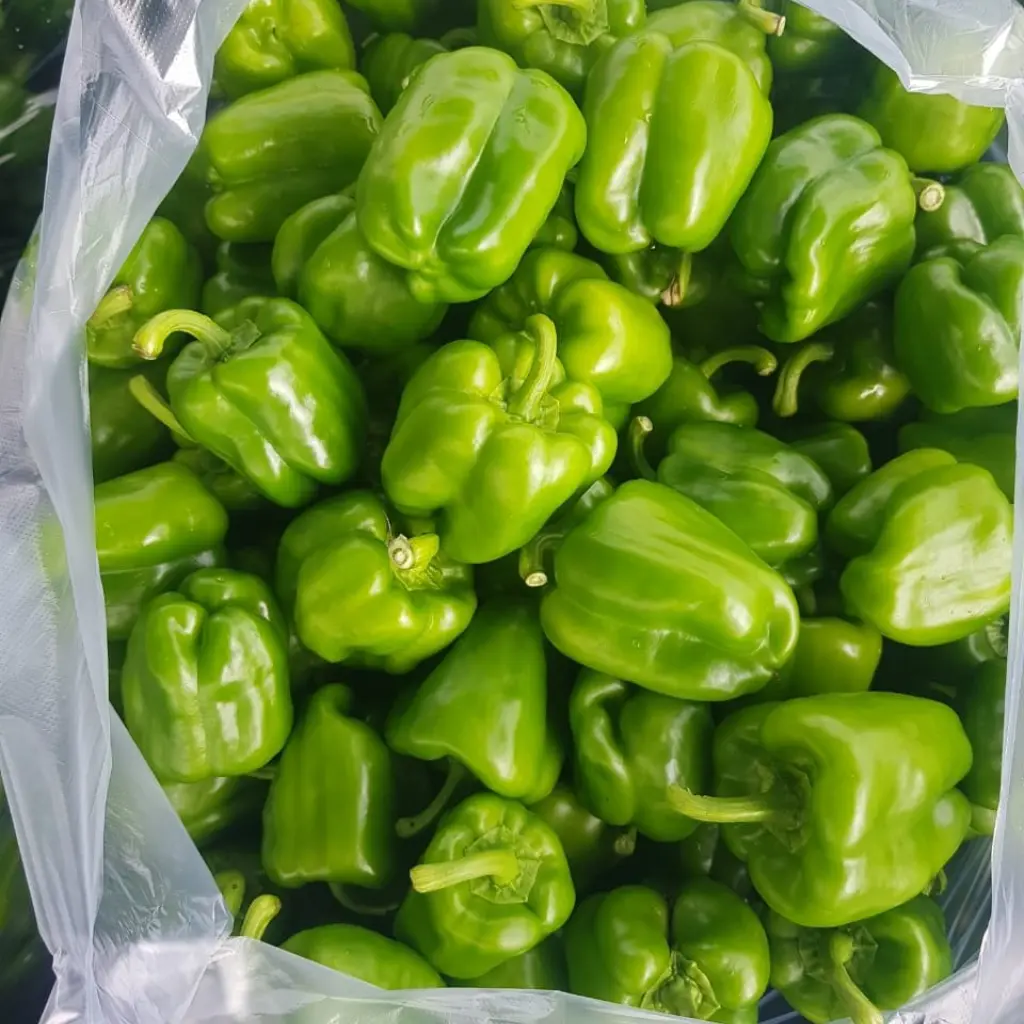 Capsicum per bag