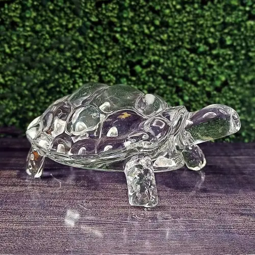 Glass kachuwa/Tortoise Big 195 MM