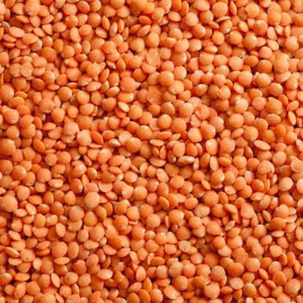 HAATBAZAAR RED LENTILS 1KG