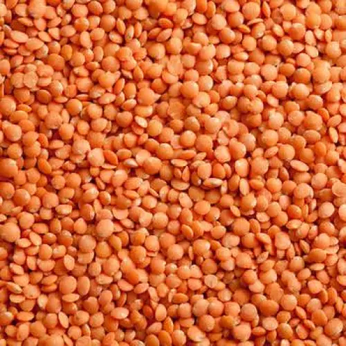 HAATBAZAAR RED LENTILS 1KG