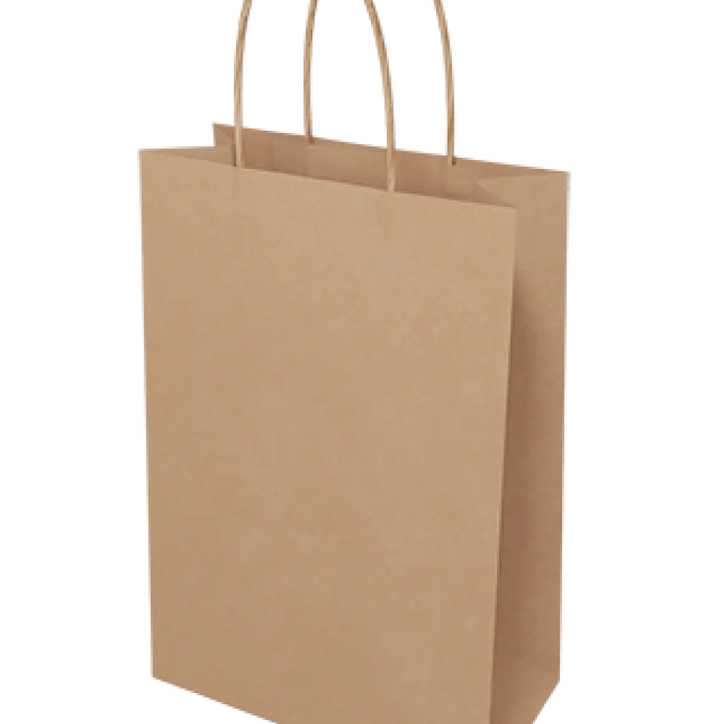 Paper bag