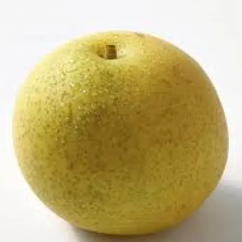 Nashi pears